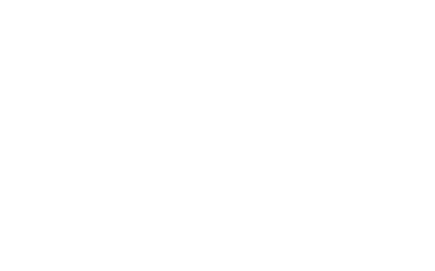 Value amplifier logo